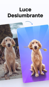 Photoroom 2